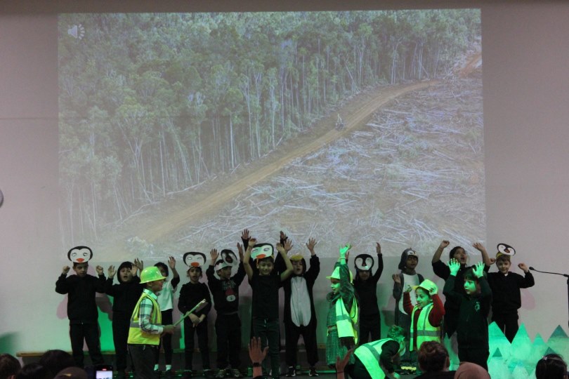 Year 2's Eddie and the Penguins production - deforestation 