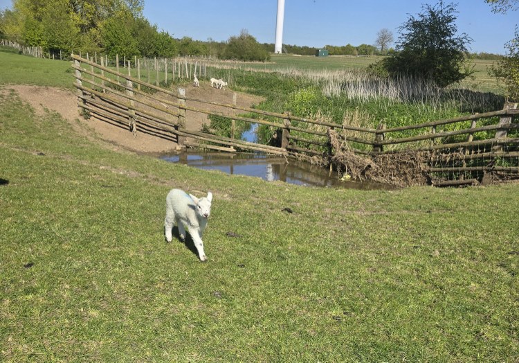 20260423_155500.jpg