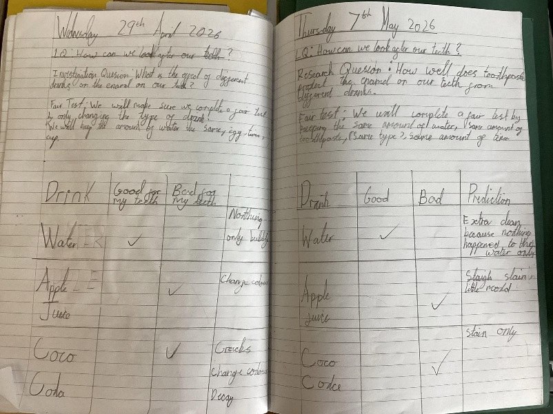 Year 4 science work