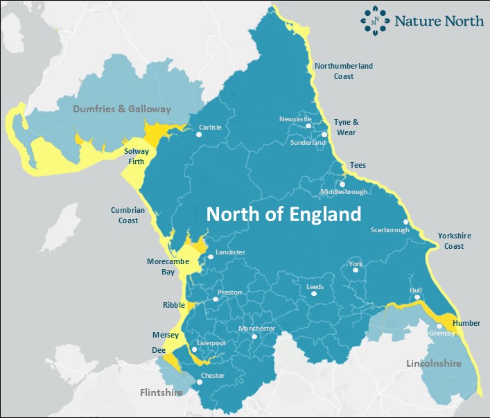 Steph NCE Map - May 2025.png