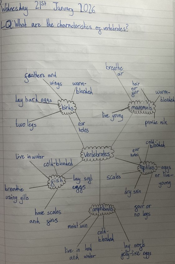 Year 6 work on classifying vertebrates