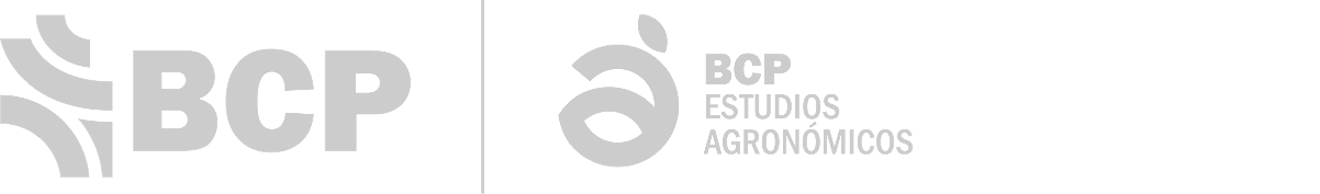 logo_footer_bcp.png
 (Moderado)