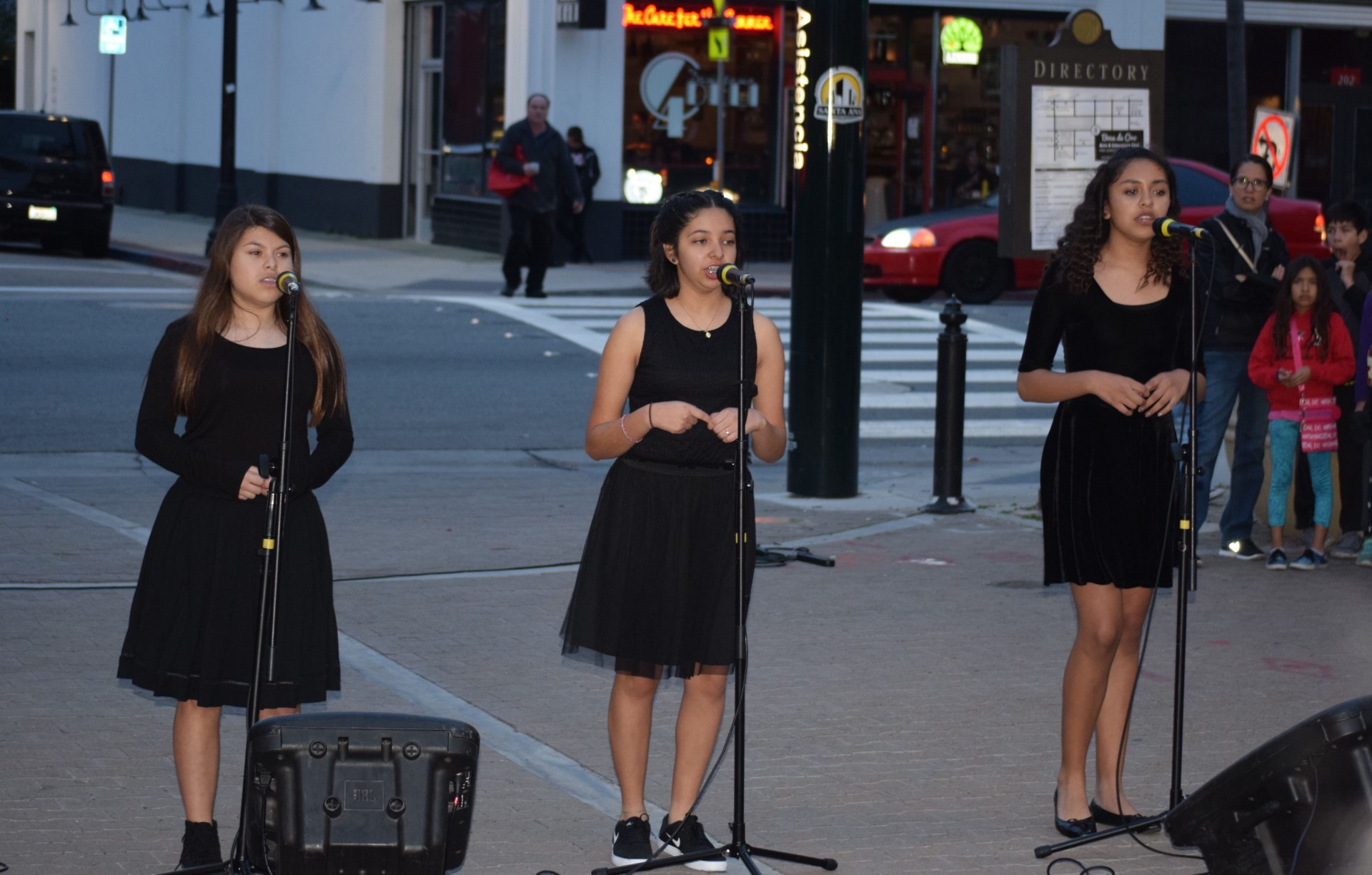 DSC_0103.jpg
 (Moderate)