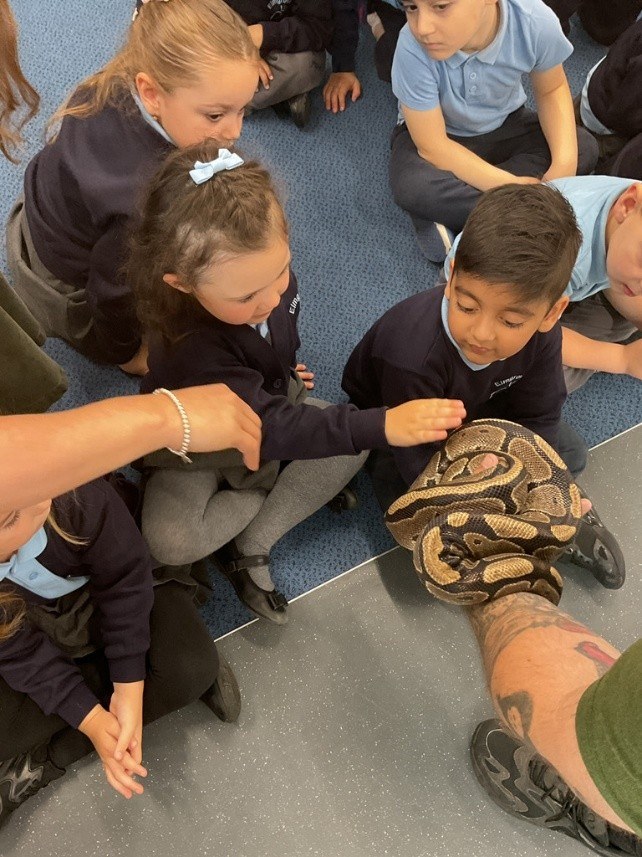 Nursery children petting a snake being held by keeper