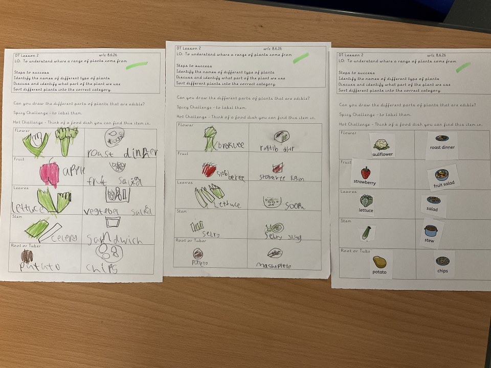 Year 1 DT work on food's origins 