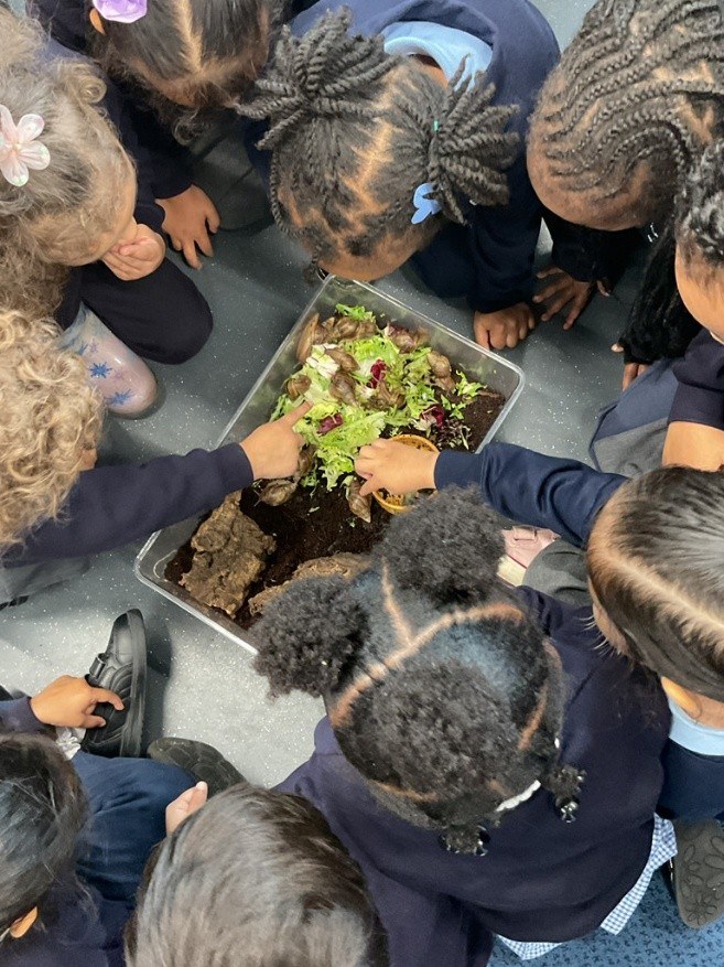 Nursery children looking in a box full of snails