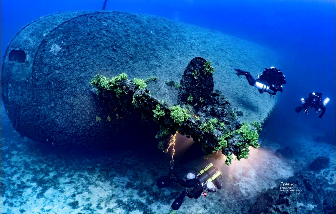 WhatsApp Image 2025-09-17 at 15.39.17.jpeg