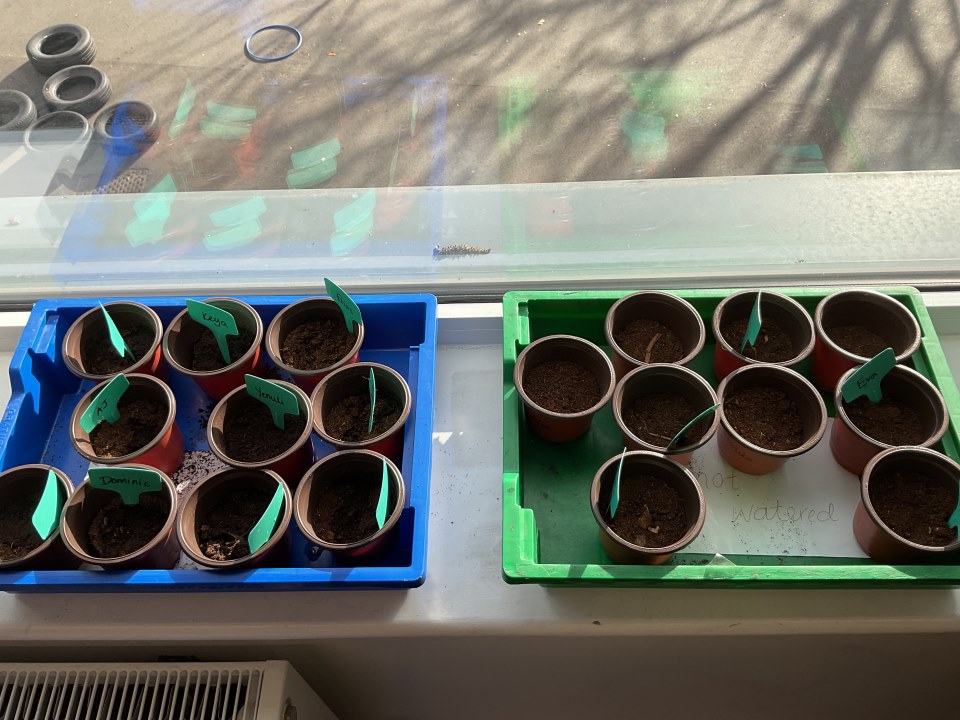 Year 2 plant pots