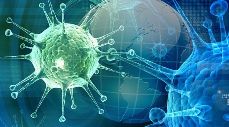Εcocid S: για την προστασία από τη μετάδοση μολυσματικών ασθενειών