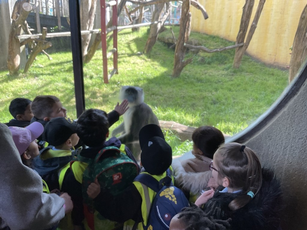 Year 1 children with more monkeys