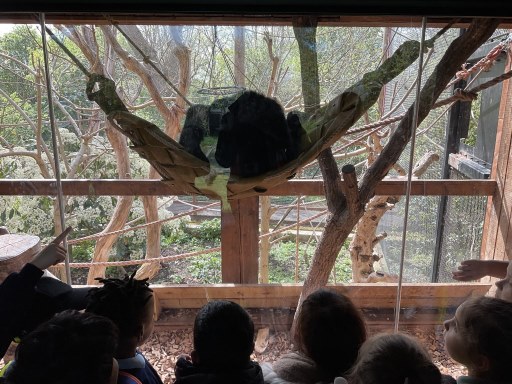 Year 1 children with monkeys