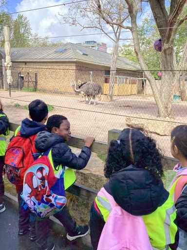 Year 1 children with ostriches