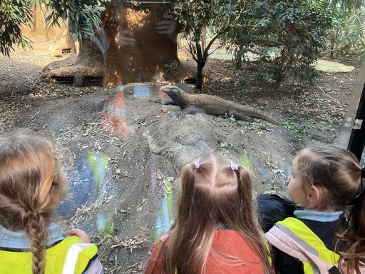 Year 1 children with large lizard