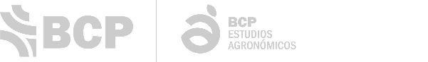 logo_footer_bcp.png