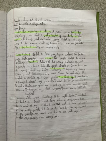 Year 3's imaginative diary entries