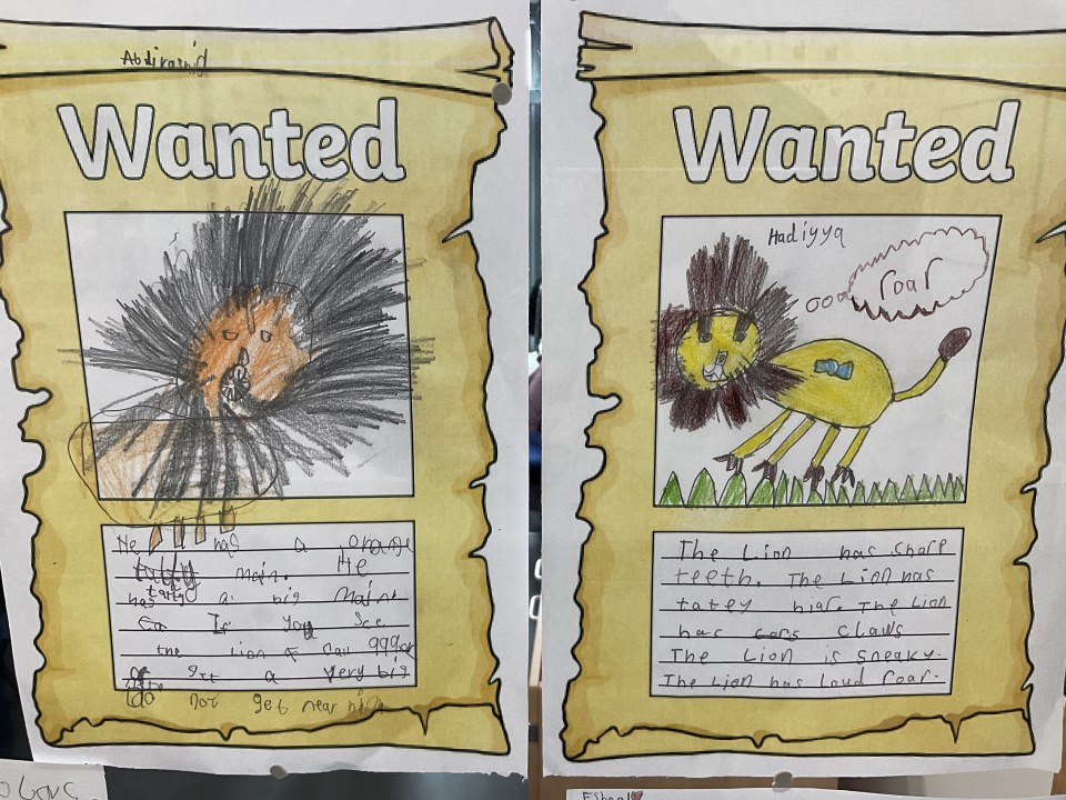 Year 1 Wanted poster of 'Little Red and the Very Hungry Lion'