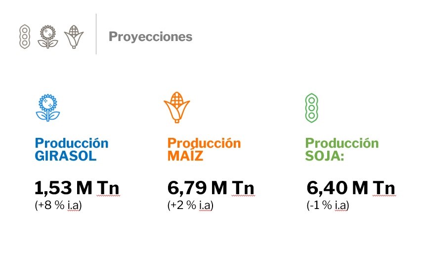 proyeccion de producción.jpg