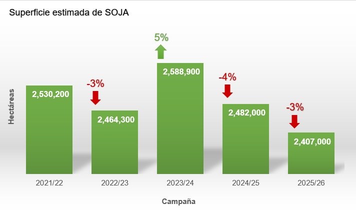 Sup Soja 25-26.jpg