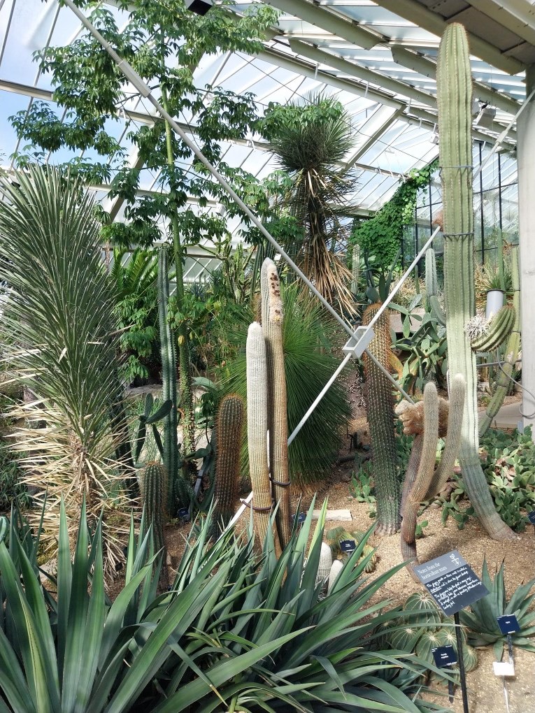 Inside Kew Gardens green house