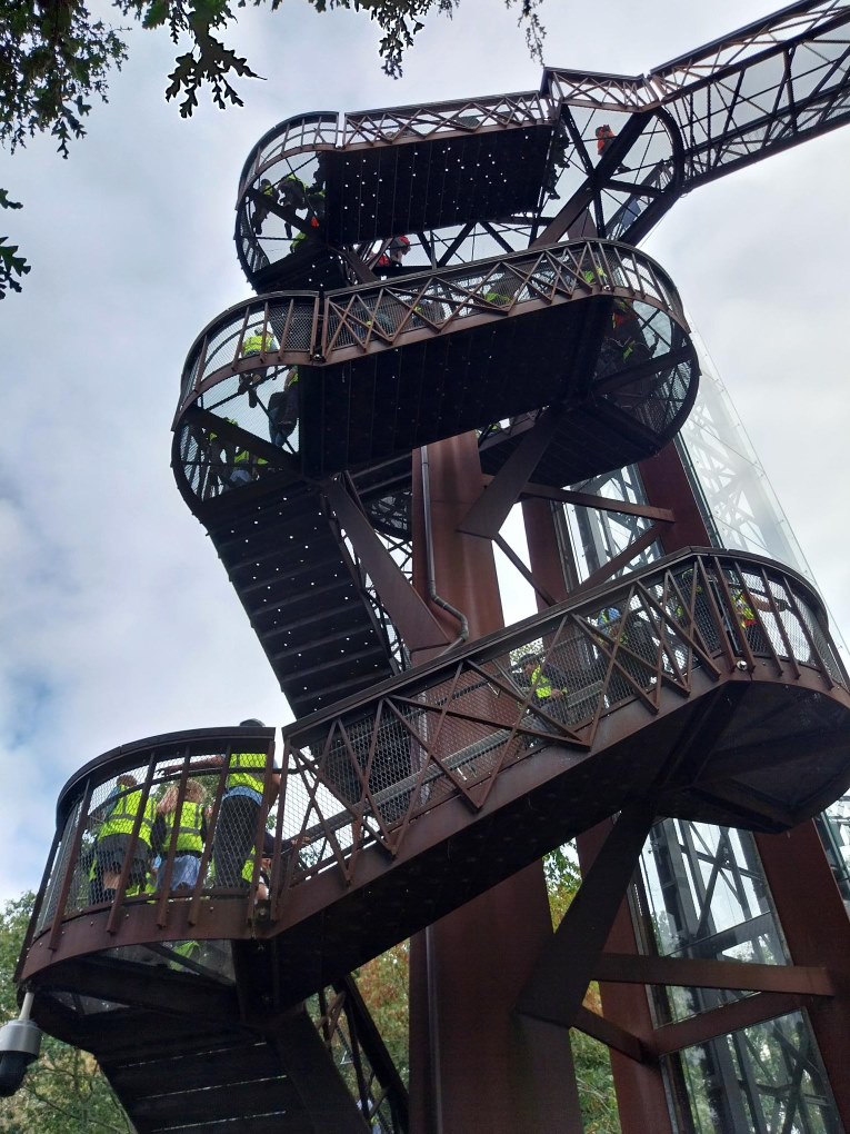 Year 6 walking up the tower at Kew Gardens