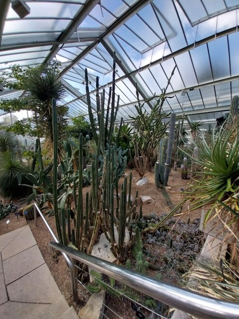 Inside Kew Gardens green house