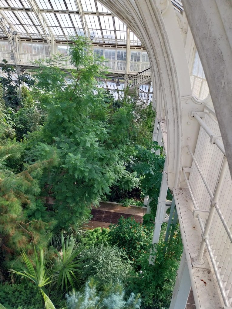 Inside Kew Gardens green house