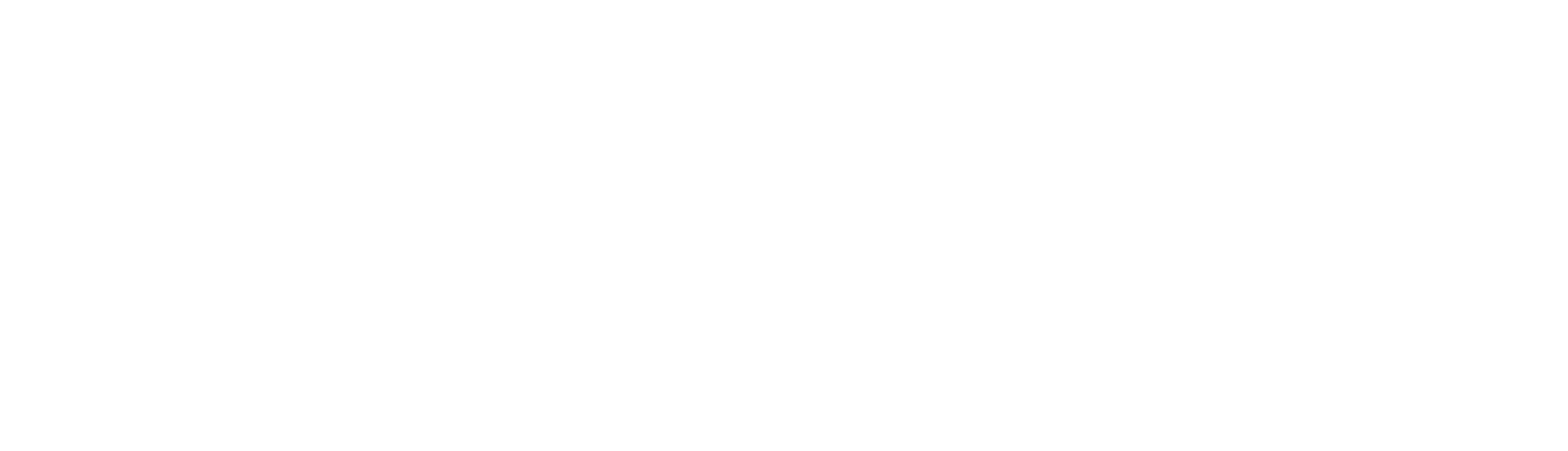 AE Connect Logo White.png