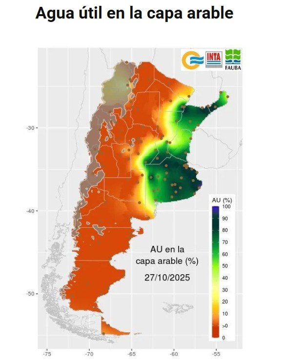 WhatsApp Image 2025-11-12 at 10.18.55.jpeg