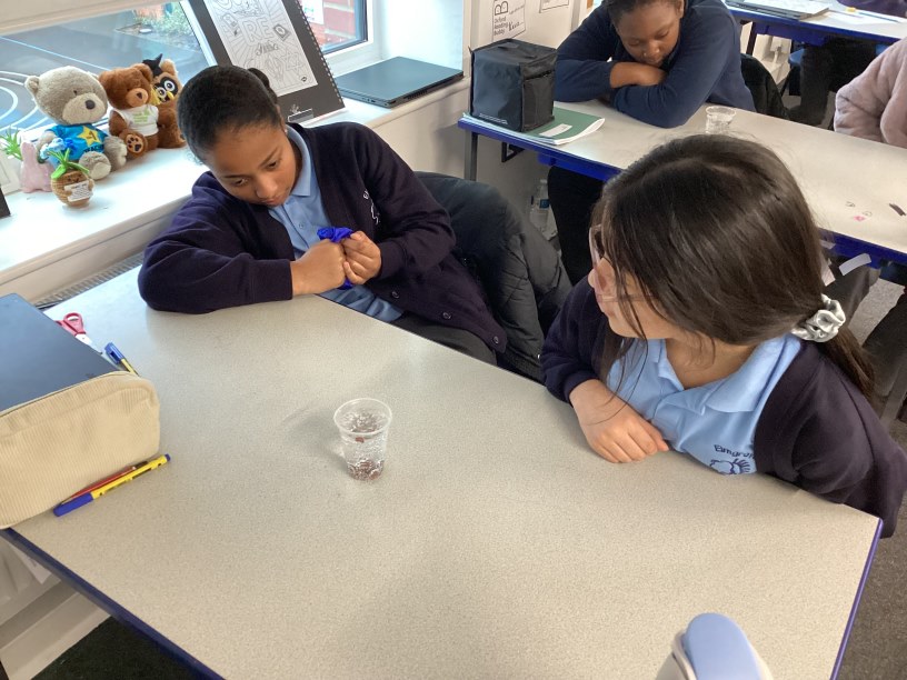 we have been revising solids, liquids and gases by observing raisins in lemonade
