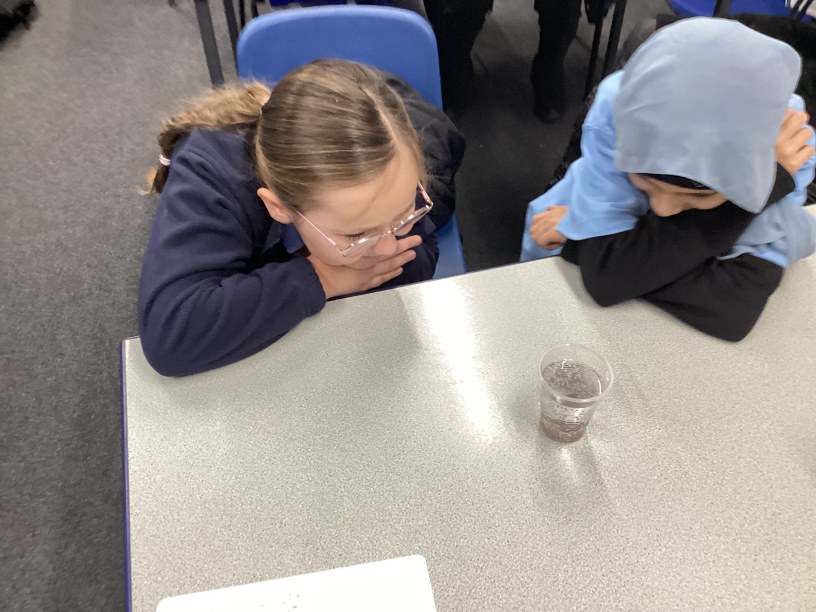 we have been revising solids, liquids and gases by observing raisins in lemonade